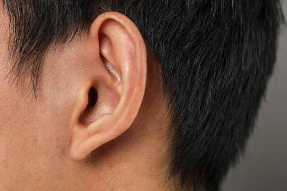 Earlobe Repair Premier Dermatology Group Dermatology